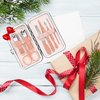 Manicure Pedicure Set Stainless Steel Nail Clippers Personal Nail Clipping Tools Portable Travel Grooming Kit with Snap-shut Case, Rose Gold