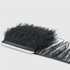 FQTANJU 2 Yards Soft & Natural Ostrich Feathers Fringe Trims Ribbon Used for Dress, Sewing, Craft Clothing, Lighting Decoration, Clothing DIY, etc. (Black)