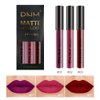 KARNAR 3Pcs Dark Red Purple Matte Lipstick Lip Set, Lip Stain,Lipstick Sets for Women Lippies Lip Matte Makeup Lip gloss Beauty Cosmetics Kit (SET01)