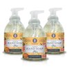 Nature's Oil Foaming Hand Soap, Citrus Grove, 10 Fluid Ounces (3 Pack)