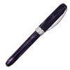 Visconti Rembrandt Fountain Pen (Black) (Fine)