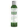 "Tea Tree & Eucalyptus" Sulfate-Free Caffeine SHAMPOO, Anti-Thinning Shampoo, Thickening Shampoo for Thinning Hair, Hair Loss Shampoo, Thickening Products For Women & Men, Hair Growth Shampoo
