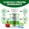 (2 Pack) Lipo Vive Advanced Formula Pills, LipoVive Dietary Support Supplement, Supports Overall Wellness, Lipo Vive Maximum Strength (120 Capsules)