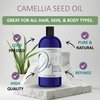 Dr Joe Lab Japanese Camellia Seed Oil - Pure, Cold Pressed, Non-GMO Carrier - 8 oz - for Skin, Hair, Nails, Body, Facial Hair - Hydrating Moisturizing Vegan Nourishing - Packaging May Vary
