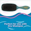 Wet Brush Shine Enhancer Paddle Brush, Ocean - Hair Detangler Brush with Ultra Soft Bristles, Infused With Natural Argan Oil, Shiny Detangle & Smooth Hair, Wet or Dry, For All Hair Types