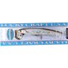 LUCKY CRAFT Flashminnow 110 (765 MS Anchovy), Surf Fishing Lure