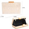 Menurra Acrylic Clutch Purse Marble Evening Bag Handbag for Women Wedding Prom Party Bride (champange)