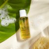 Rahua Shower Gel, 2 Fl Oz, Healthy Skin Body Shower Gel Made With Natural Plant Based Organic Ingredients.