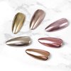 Rose Gold Chrome Nail Powder Pen,RoseFlower 6 pcs Metallic Nail Art Pigment Powder Pen Set, Shiny Nail Glitter Powder Air Cushion Pen with Magic Mirror Effect for Nail Art Design Decoration