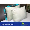 King Size Waterproof Pillow Protectors (Set of 2) -Bamboo Viscose Pillow Cover Hypoallergenic Dust Proof Zippered Encasement