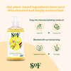 South Of France Lemon Verbena Liquid Hand Wash by SoF Body Care (Formerly Body Care) | Moisturizing Liquid Hand Soap with Sea Algae | 8 oz Pump Bottle Each | 3 Bottles