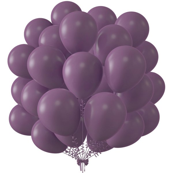 KALOR 10 Inch Retro Purple Balloons, 100 Pcs Latex Helium Balloons for Kid's Birthday Party Baby Shower Wedding Graduation Graduation Party Decorations