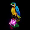 LIGHTAILING Light for Lego-31136 Exotic-Parrot - Led Lighting Kit Compatible with Lego Building Blocks Model - NOT Included The Model Set