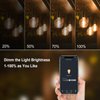 New One Outdoor Smart Dimmer Plug, 2.4Ghz WiFi Plug- in Dimmer for Outdoor String Lights, Light Dimmer Compatible with Google Assistant and Alexa, Remote Voice Control, Max Power 400W, IP65 Waterproof