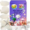 COUCHINLARY DIY Natural Sea Shells Painting Kit Starfish for Kits Children Arts&Crafts Kits Presents Gifts for Girls Boys Age 4+ Year Old 4-12 DIY Painting with Watercolor Paints