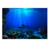GLOGLOW Aquarium Poster, 3D Effect Underwater Background Sticker Thicken PVC Adhesive Static Cling Backdrop Fish Tank Decorative Paper(61×41cm)