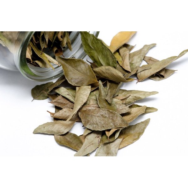 Laxmi All-Natural Cooking Bay Leaves - 1/2oz