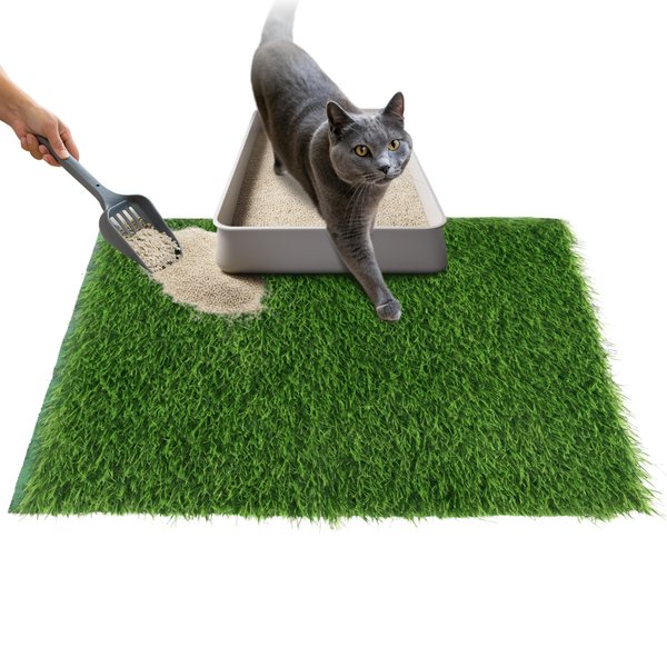 Skywin TidyFriend Cat Litter Box Mat, Cat Litter Rug Catcher, Washable and Lightweight Pet Accessories for Indoor (Grey) (Green, 24 x 17.5 Inches)