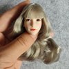 SSbeauty M 1/6 Scale Female Head Sculpt Pale Skin Silver Hair Girl Head Carved for 12inch Action Figure Body Doll