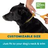 Only Natural Pet EasyDefense Flea & Tick Dog Collar - Canine Flea Collars Flea and Tick Control - Pet Flea Care That Protects up to 4 Months - for Dogs (Single)