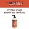 MRS. MEYER'S CLEAN DAY Liquid Hand Soap, Radish Scent (12.5 Fl Oz (Pack of 2))