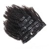 Kinky Curly Clip in Hair Extensions Natural Brazilian Curly African American Clip in Human Hair Extensions