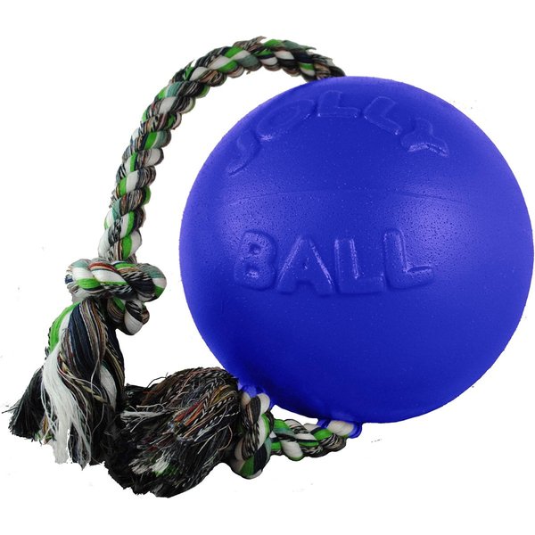 Jolly Pets Romp-n-Roll Ball Dog Toy Color: Blueberry, Size: 8"