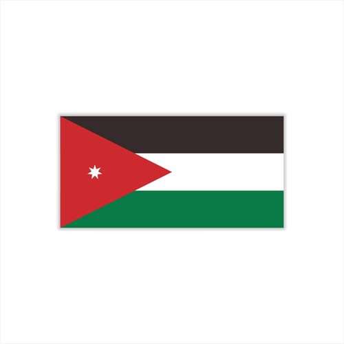 Womaha 30 Temporary Jordan Flag Tattoos Fans Face Tattoo Stickers for Adults Kids Group Activity Props