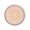 COVERGIRL Professional Loose Finishing Powder, Translucent Fair Tone, 2 Count
