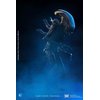 Hiya Toys Exquisite Mini Series 1/18 Scale 5 Inch Alien Big CHAP Alien Action Figure