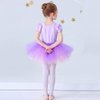 Dressy Daisy Princess Ballet Tutu Dress Fancy Dance Wear Ballerina Costume Outfit Dancewear for Little Girls Size 7-8 Purple 074