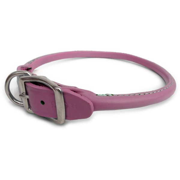 Auburn Leathercrafters Round Dog Collar Color: Pink, Size: 1" x 18"