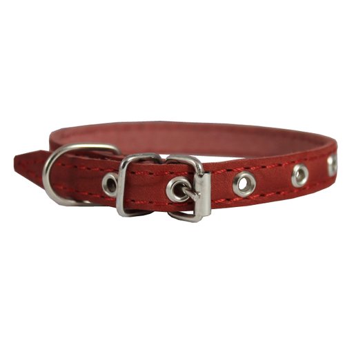 Red Real Leather Dog Collar 9.5"-13" Neck Size, 1/2" Wide Yorkshire Terrier, Puppies