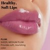 Fifth & Skin BOTANICAL LIP GLOSS (PLUM) Natural - 90% Organic - Gluten Free - Cruelty Free - Velvety Feel - Moisturizing Vitamin Rich