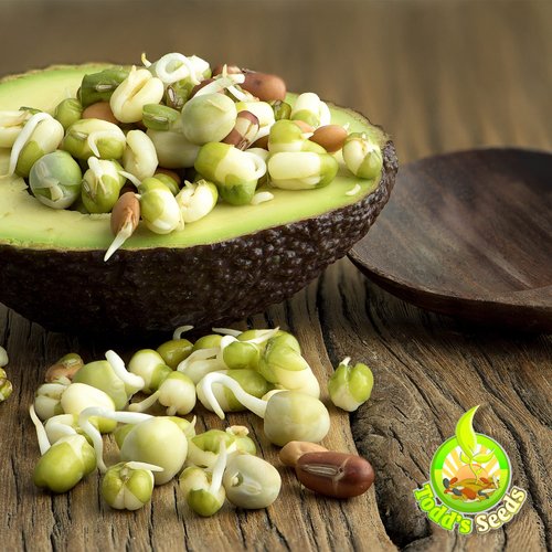 Todd’s Seeds - Protein Bean Sprouting Seed Mix - Green Pea - Mung Bean - Adzuki - Garbanzo - One Pound - Non GMO