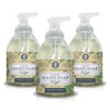 Nature's Oil Foaming Hand Soap, Tobacco Vanilla, 10 Fluid Ounces (3 Pack)