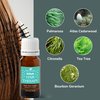 Plant Therapy KidSafe Get 'Em Gone Essential Oil Blend 10 mL (1/3 oz) 100% Pure, Undiluted, Therapeutic Grade
