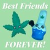 Dog Toy 2-Pack - Weed Leaf Water Pipe Dog Toys Funny Stuffed Squeaker Chews Plushies for Puppies