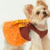 Fitwarm Thanksgiving Fall in Love Dog Dress, Sparkly Dog Clothes for Small Dogs Girl, Holiday Pet Tutu Dress, Cat Outfit, Brown, Orange, Medium