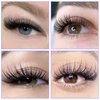 Eyelash Extensions D Curl Classic Lash Extensions .10 .15 .20 .25mm Individual Lashes Mixed Length 8-14mm/14-20mm/20-25mm Eyelash Extension Lashes (0.15-D, Mixed 14-20mm)