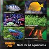 Kordon Amquel Plus Aquarium Water Conditioner - Instantly Detoxifies Ammonia, Nitrite, Nitrate, and Chlorine Remover for Freshwater & Saltwater Aquariums, 8 Ounces