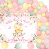 81Pcs Chicken Themed Baby Shower Decoration for Girl A Little Chick Is About to Hatch Baby Shower Backdrop Pink Floral Backdrop Balloon Garland Arch for Farm Themed Chick Party Baby Shower Supplies