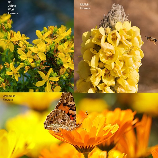 Creation Farm Ear Oil Drops with Mullein, Calendula, St Johns wort, All natural Herbal Relief for Earwax Removal, Earache Soothing, Itchy Irritated, Clogged or Dry Ears Made in USA