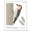 Forever Stamp Sheets Featuring Birds (1 Sheet, Birds in Winter) Scott 5390