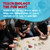 Virulence: An Infectious Virus Card Game - Educational Bidding Game for Kids 8+ - Perfect Biology Board Game for Kids, Teens, and Adults - Medical Science Gifts for Nurses, Doctors, Teachers