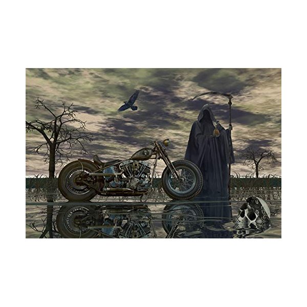 HARLEY DAVIDSON MOTORCYCLE SHOVELHEAD CHOPPER STURGIS GRIM REAPER BIKER ART PRINT