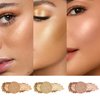 FV Highlighter Palette, Highly Pigmented & Metallic Finish Highlighter Pressed Powder, Multi-Use Highlighter Makeup for Body & Eyeshadow, Cruelty-Free
