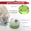 PETGEEK Interactive Cat Toy, Hide Mouse Cat Toy with Squeaky Mouse, Electronic Automatic Cat Toys with Catnip Filled Hidey Mouse, Best Gift for Birthday, Thanksgiving, Christmas, New Year