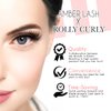 Amber Lash Eyelash Lifting and Eyebrow Lamination Solutions Step 1 and 2 by Rolly Curly, Professional Lash Perm and Brow Lift, 10 Individual Packets Each