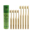 Gaia Guy Natural Bristle Bamboo Toothbrush Family Pack (NO Nylon - Boar Hair ONLY) - Totally Compostable & Biodegradable Boar Bristle and Bamboo Toothbrushes - Zero Waste - 4 Kids and 4 Adults